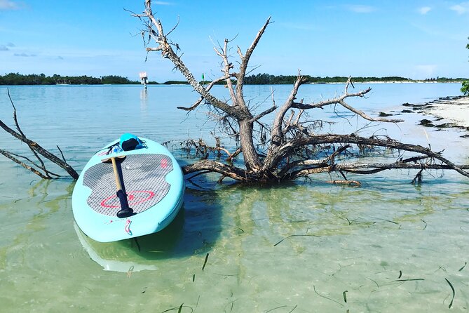 Guided Tour Johns Pass Mangrove Tunnel - Tour Overview