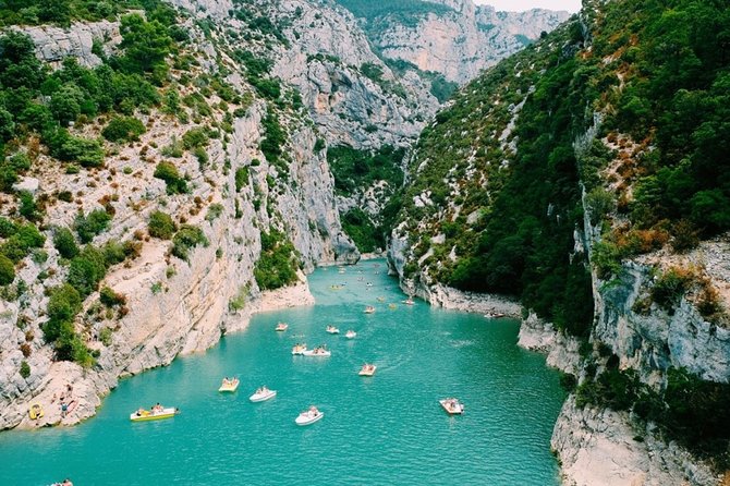 GUIDED Tour: Lavender Fields, the Gorges Du Verdon - Verified Reviews Insights