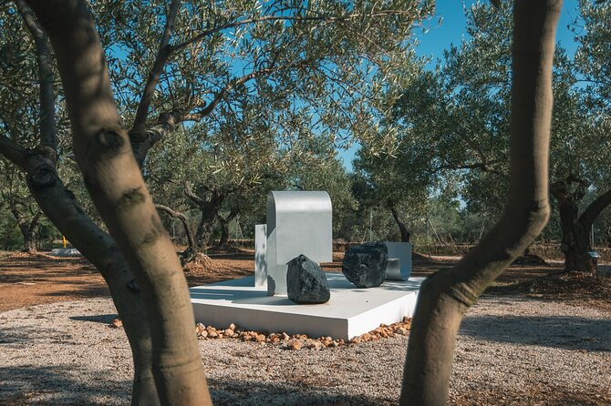 Guided Tour Museum of Contemporary Art and Sculpture Park - Cultural Experiences