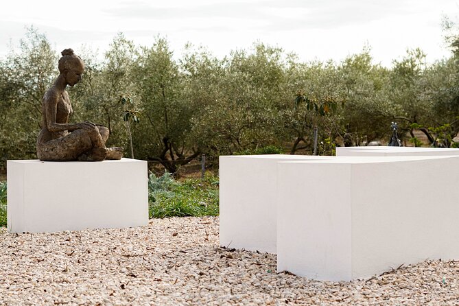 Guided Tour Museum of Contemporary Art and Sculpture Park - Booking and Cancellation Policy