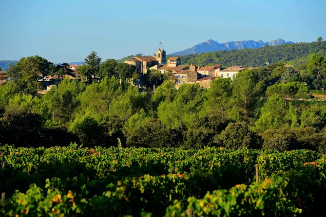 Guided Tour of a Winery in Vacquières With Wine Tasting - Pricing and Availability Details