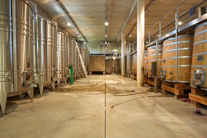 Guided Tour of a Winery in Vacquières With Wine Tasting - Accessibility Information