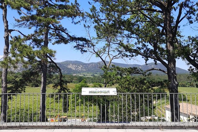 Guided Tour of a Winery in Vacquières With Wine Tasting - Parking and Meeting Instructions