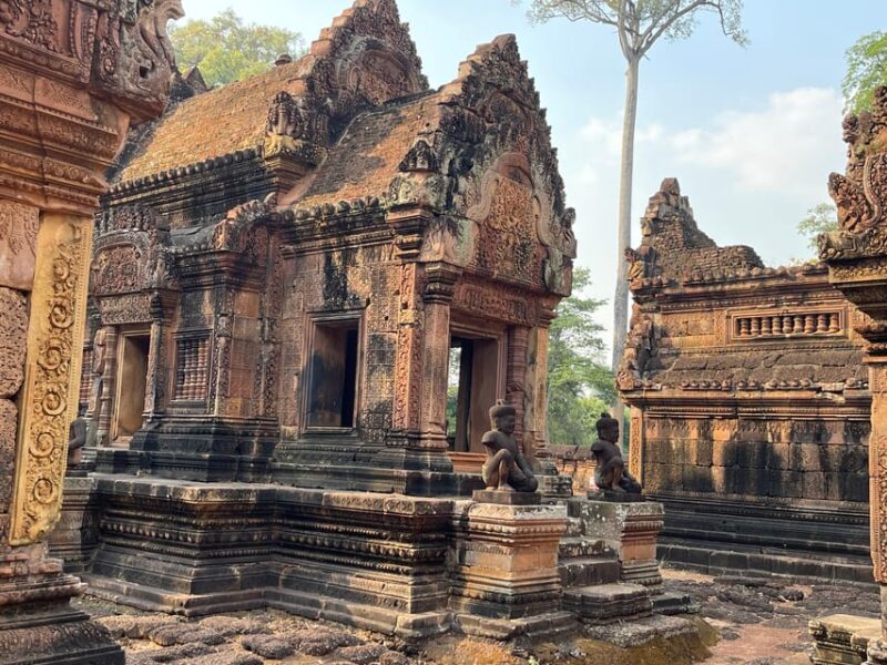 Guided Tour of Angkor Wat, Bayon, Ta Prohm, and Banteay Srei - Angkor Wat