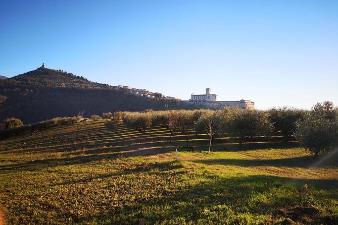 Guided Tour of Assisi - Tour Accessibility