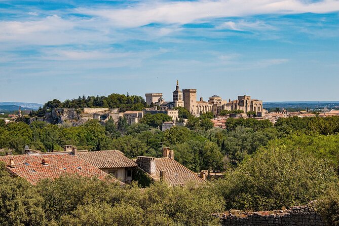 Guided Tour of Avignon - Accessibility and Inclusivity