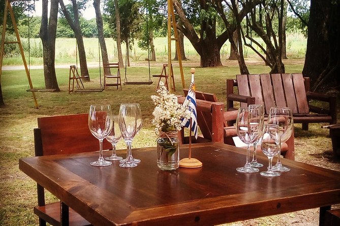 Guided Tour of Castillo Viejo Winery and Lunch - Welcome and Tasting Experience
