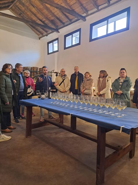 GUIDED TOUR OF CHINCHON + VISIT TO NERO WINERY WITH WINE TASTING - Key Points