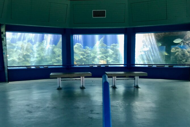 Guided Tour of Coral World Ocean Park & Happy Hour - Flexible Exploration Time