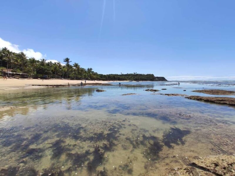 Guided Tour of Espelho Beach - Porto Seguro - Pristine Crystal-Clear Waters