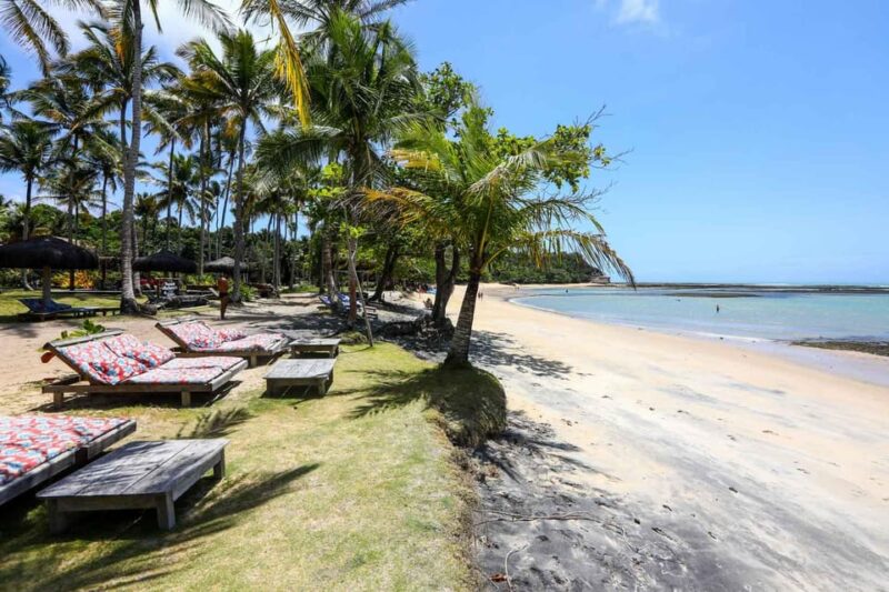 Guided Tour of Espelho Beach - Porto Seguro - Guided Tour Experience