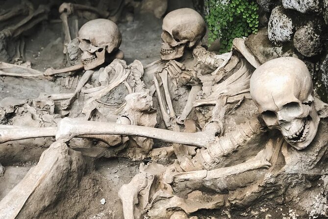 Guided Tour of Herculaneum With Lunch and Entrance Included - Enjoying the Lunch Experience