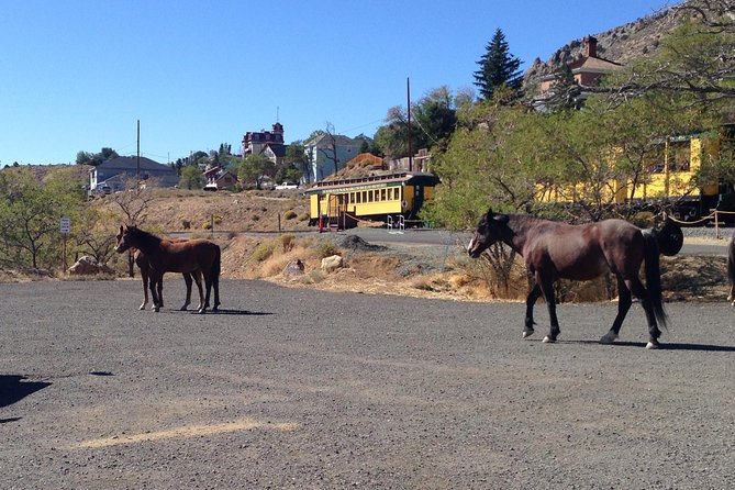 Guided Tour of Historic Virginia City and Carson City From South Lake Tahoe - Discovering Carson City