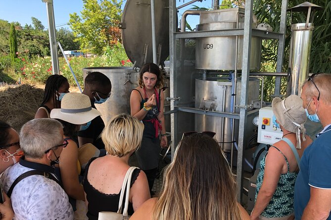 Guided Tour of Lavender Distillery Between Provence & Camargue - Meeting Point and Location