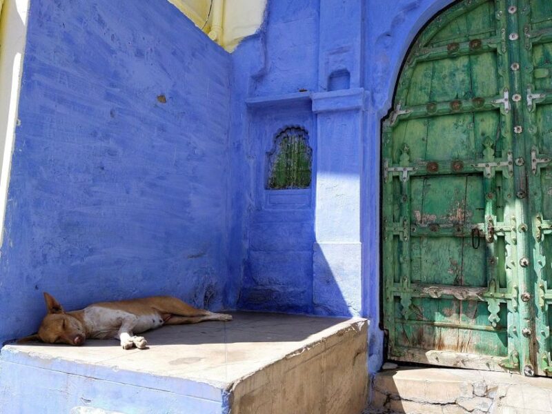Guided Tour of Mehrangarh Fort, Memorial & Heritage Walk. - Tour Inclusions and Logistics