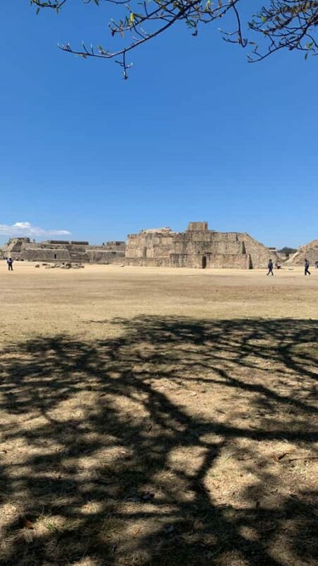 Guided tour of Monte Albán. No tourist traps - Value and Price Considerations