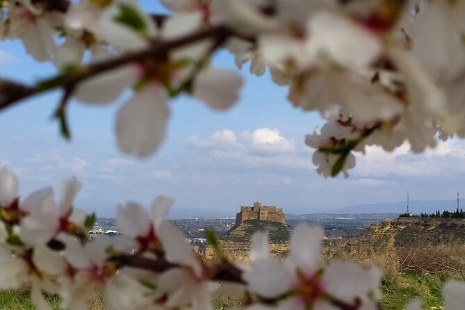 Guided Tour of Monzón and the Castle 3h. - Tour Overview