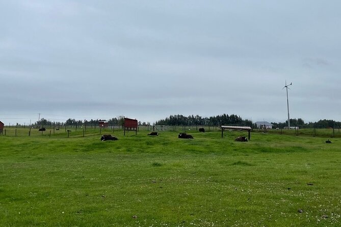 Guided Tour of Musk Ox Farm & Scenic Drive From Anchorage - Scenic Drive Through Matanuska Valley