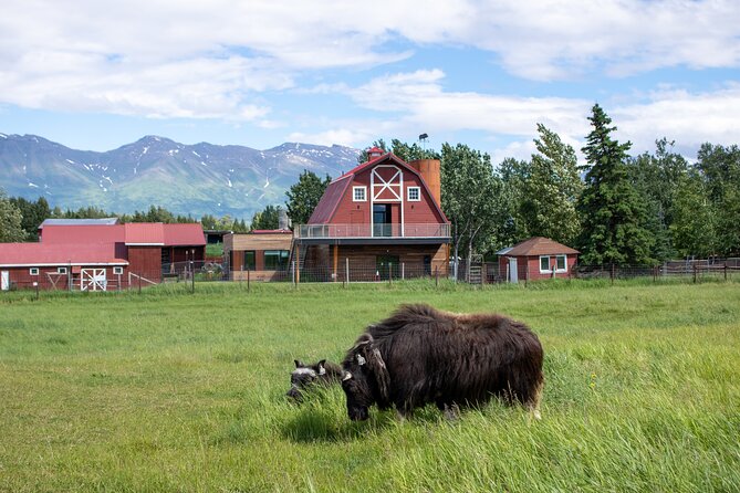 Guided Tour of Musk Ox Farm & Scenic Drive From Anchorage - Knowledgeable and Engaging Guides