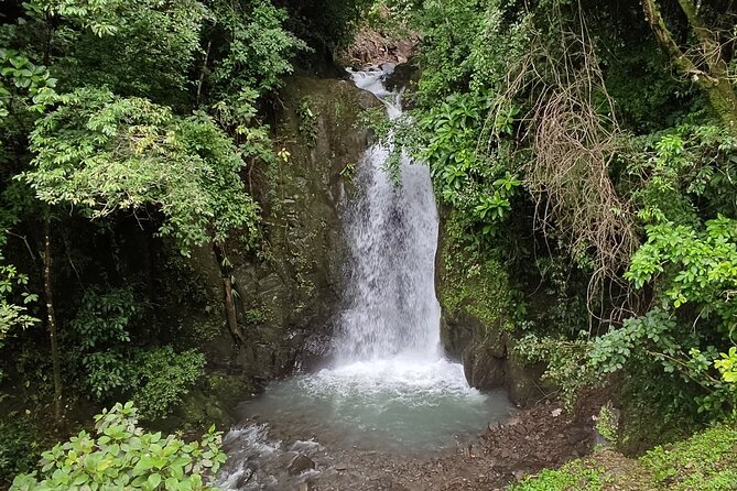 Guided Tour of Philippine Falls in Sora From Panama City - Inclusions