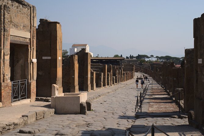 Guided Tour of Pompeii Ruins With Lunch and Wine Tasting - Highlights of the Outing
