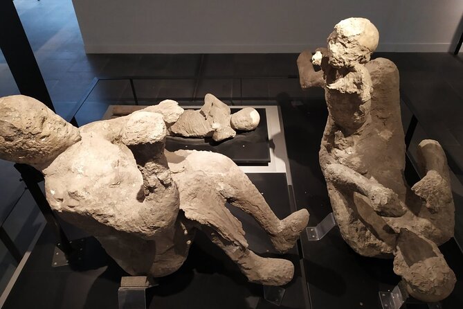 Guided Tour of Pompeii With a Writer - Inclusions