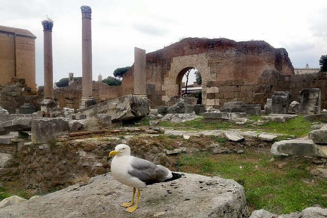 Guided Tour of Roman Forum & Palatine Hill - Booking Information