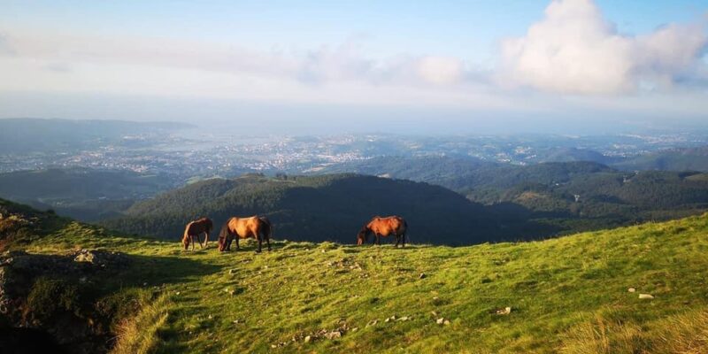Guided Tour of the 5 Most Beautiful Towns in Basque Country - Espelette