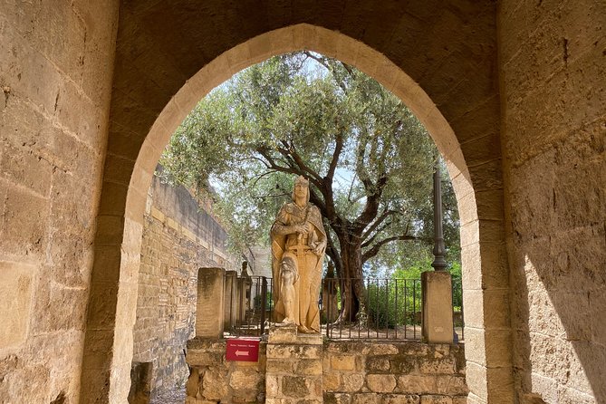 Guided Tour of the Alcazar of the Christian Monarchs - Architectural Highlights