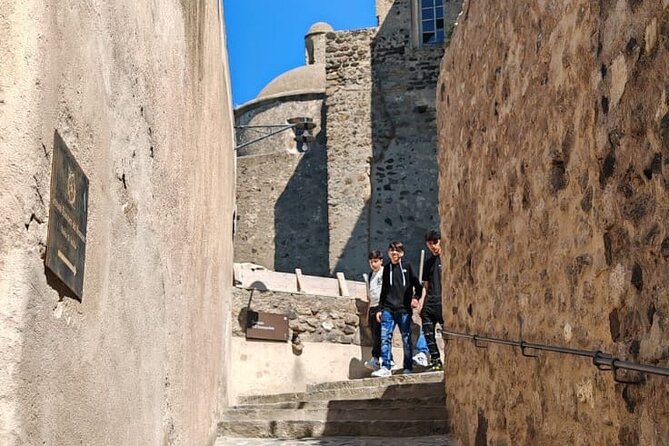 Guided Tour of the Aragonese Castle in Ischia - Accessibility Information