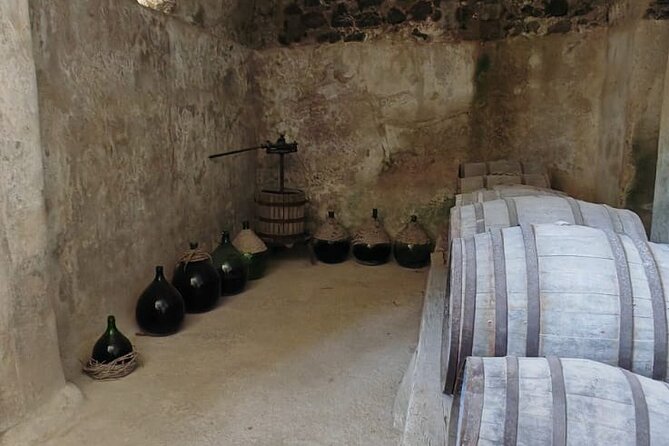 Guided Tour of the Aragonese Castle in Ischia - Reviews and Traveler Feedback