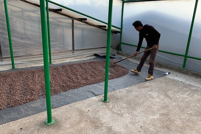 Guided Tour of the Artisan Chocolate Factory in Tuscany - Bottled Water Included