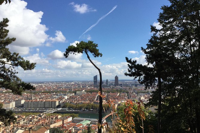 Guided Tour of the Basilica of Fourvière and Gallo-Roman Site of Lyon - Booking Information and Reviews