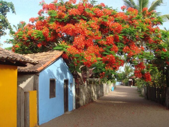 Guided Tour of the Beaches in Caraíva - Porto Seguro - Booking and Reservations