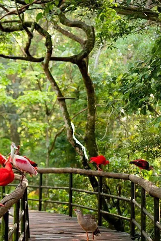 Guided Tour of the Bird Park - Location and Pickup