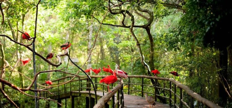 Guided Tour of the Bird Park - Duration and Group