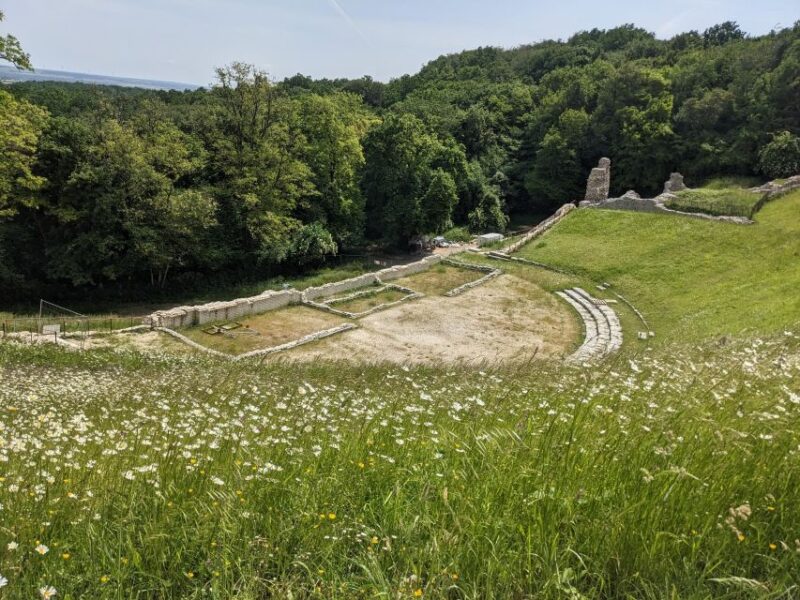 Guided Tour of the Bouchauds Site - Tour Highlights