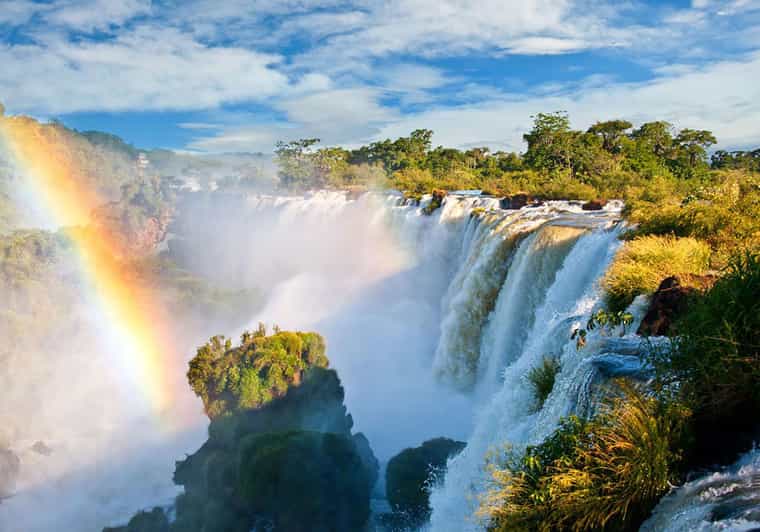 Guided Tour of the Brazilian Falls and Bird Park - Key Points