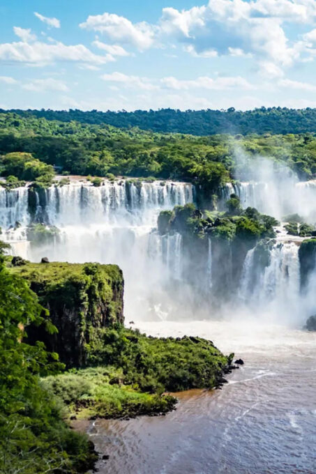 Guided Tour of the Brazilian Falls and Bird Park - Bird Park