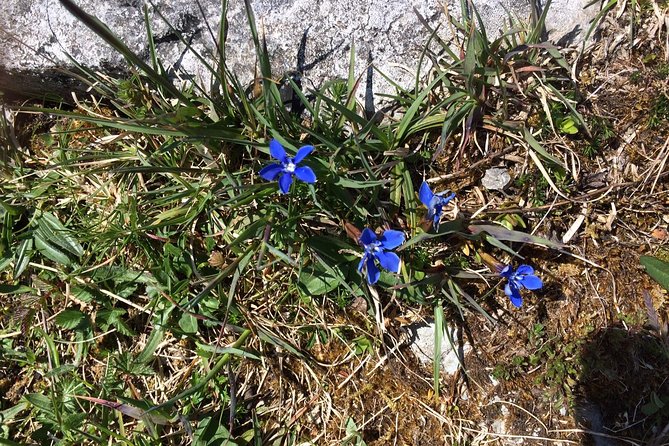 Guided Tour of the Burren on Electric Bikes - Inclusions
