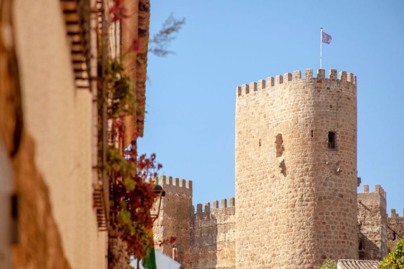 Guided Tour of the Castle of Baños De La Encina - Tour Operation Details