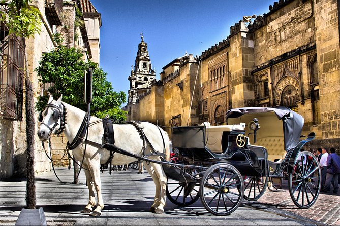Guided Tour of the CATHEDRAL MOSQUE of Cordoba - Customer Feedback and Experiences