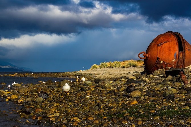 Guided Tour of the City of Ushuaia - Natural Wonders