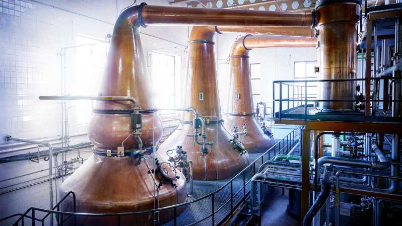 Guided Tour of the DYC Distillery - Production Process