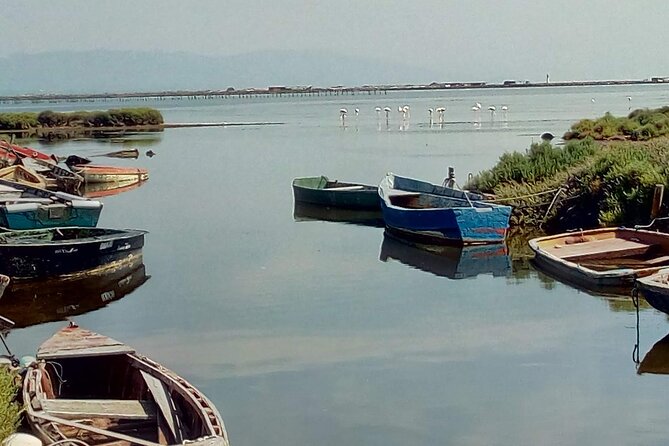 Guided Tour of the Ebro Delta (North Delta) - Meeting Point and End Point