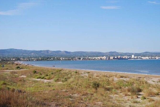 Guided Tour of the Ebro Delta (North Delta) - Customer Support and Assistance