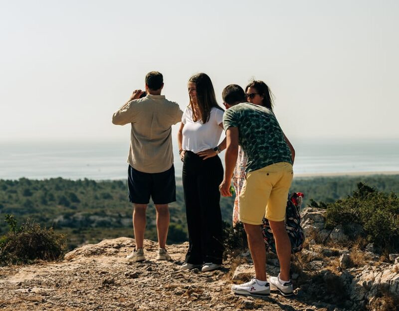 Guided Tour of the Estate & Tasting of 4 Wines - Experience Highlights