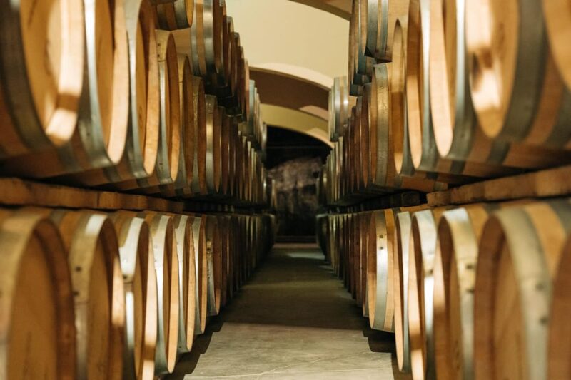 Guided Tour of the Estate & Tasting of 4 Wines - Participant Suitability