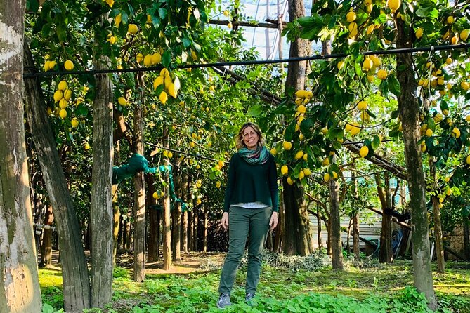 Guided Tour of the History and Tradition of the Sorrento Lemon - Quick Points