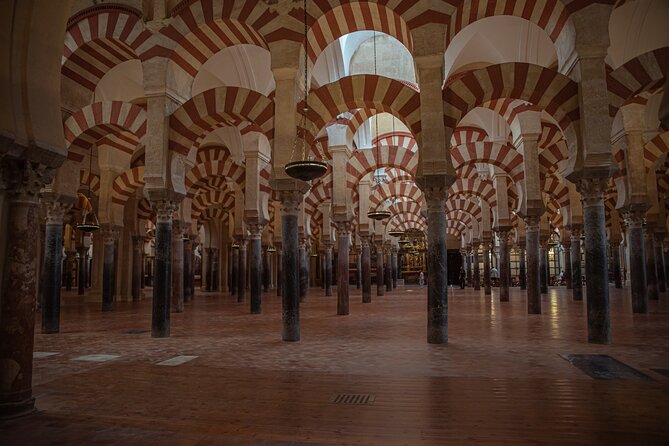 Guided Tour of the Mosque-Cathedral and the Alcázar of the Christian Monarchs - Customer Reviews and Feedback